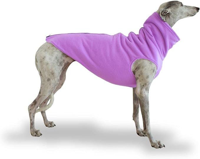 polar-galgo